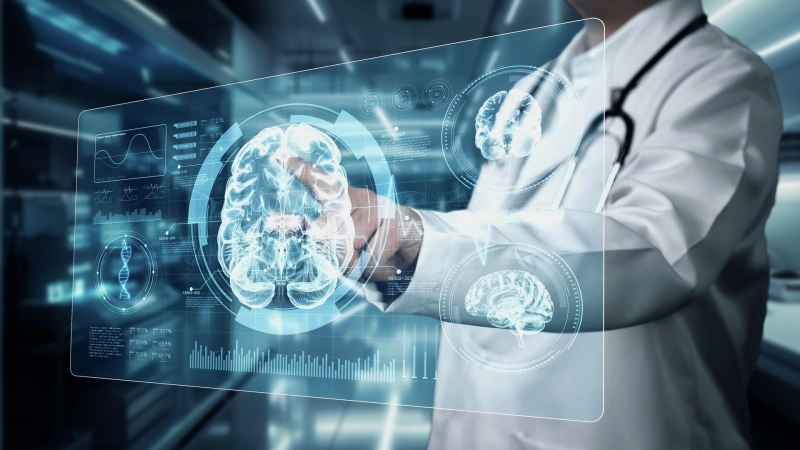 Ученые из России и Китая нашли способ продлить молодость мозга