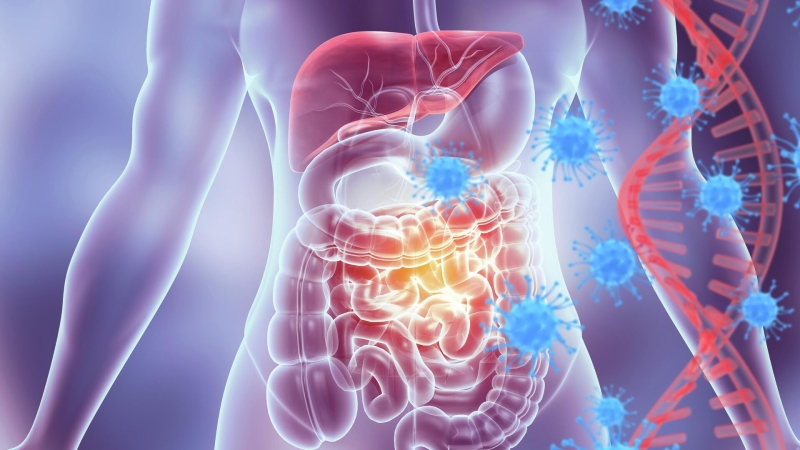 Ученые открыли механизм разрушения органов